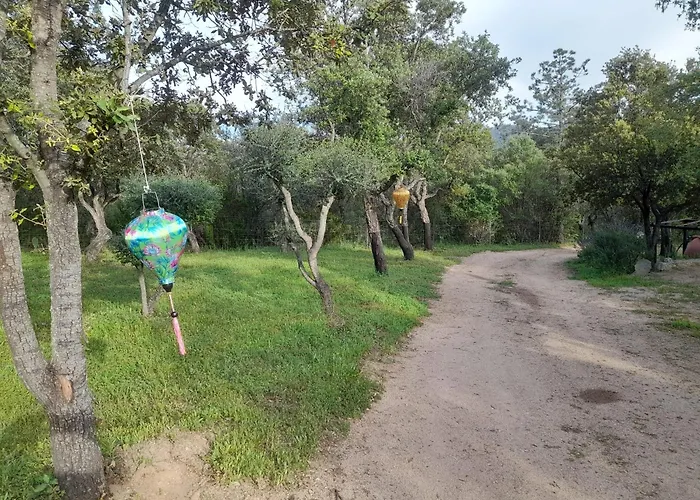 Serenella